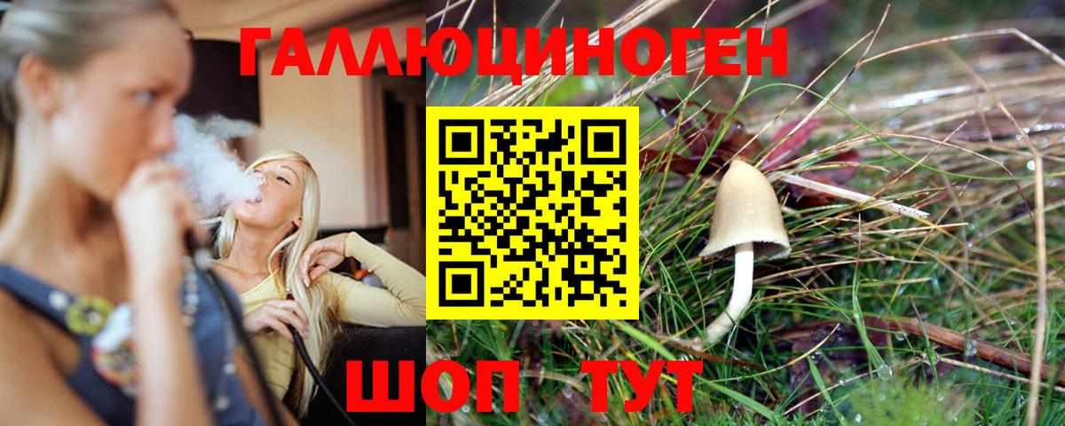 Ишимбай  Псилоцибиновые грибы Psilocybe  Вход с VPN 